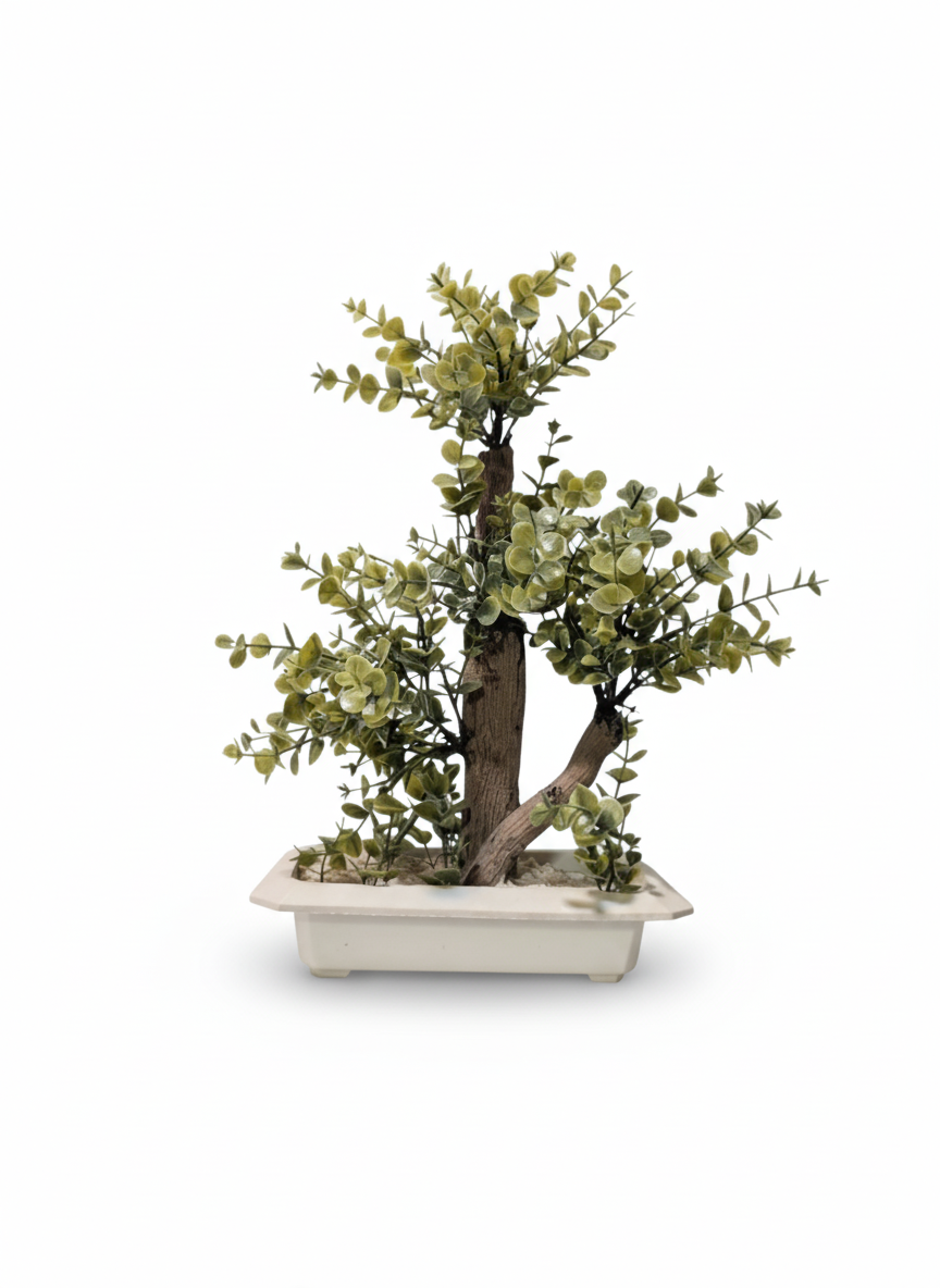 Bonsai Tree