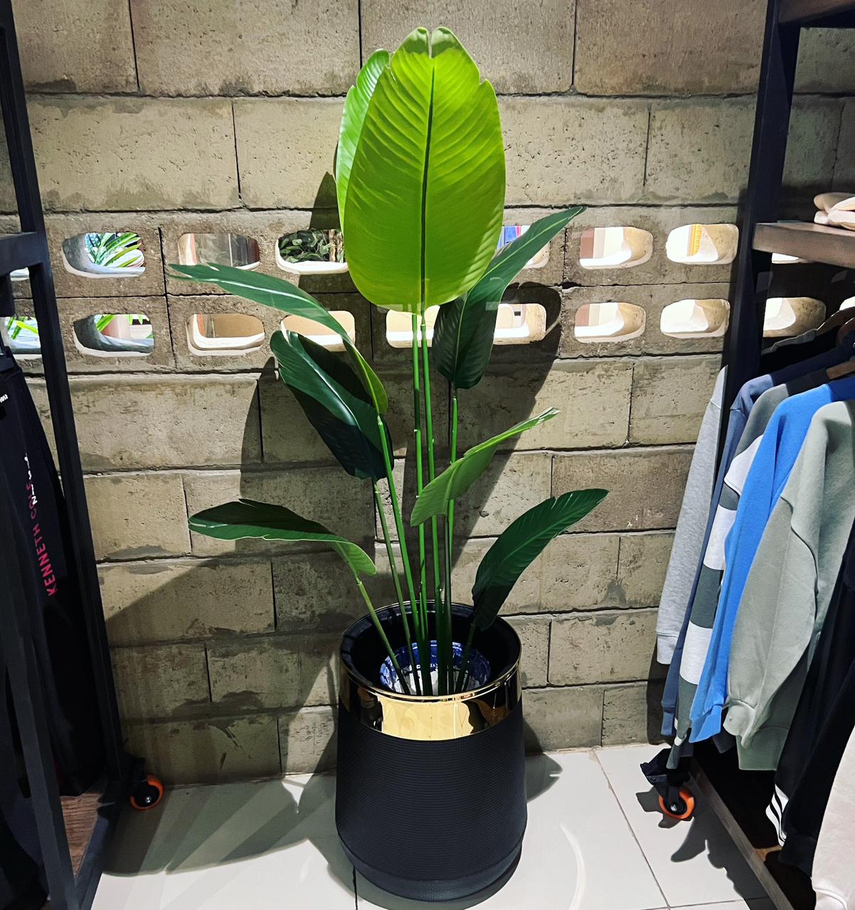 Banana Plant with 8 Leaves in Non Breakable