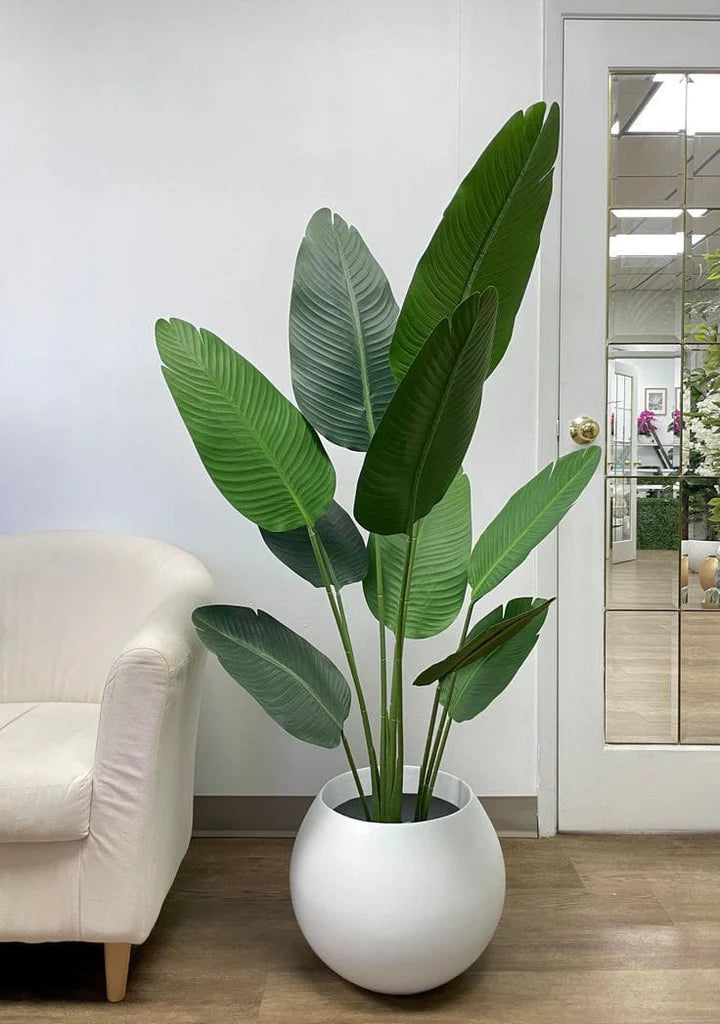 BANANA PLANT WITH SPHERE POT