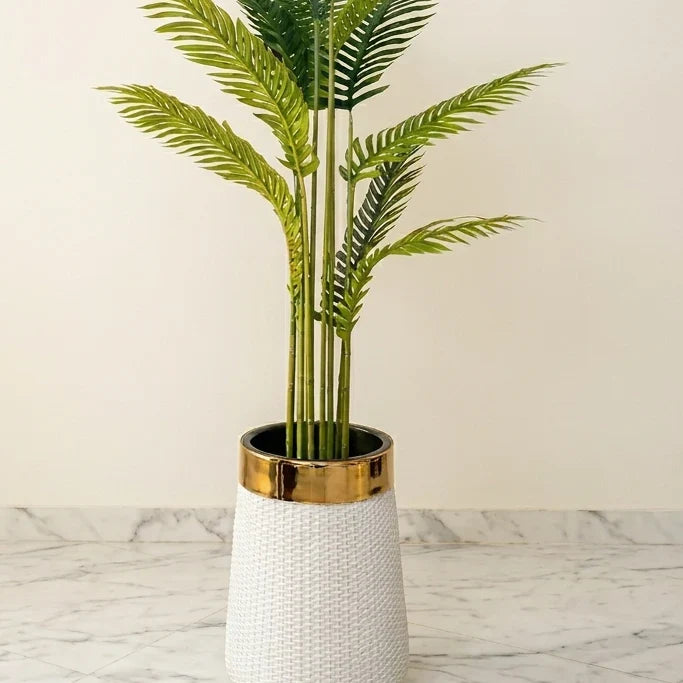 Areca Palm Tree with Premium Textured Planter