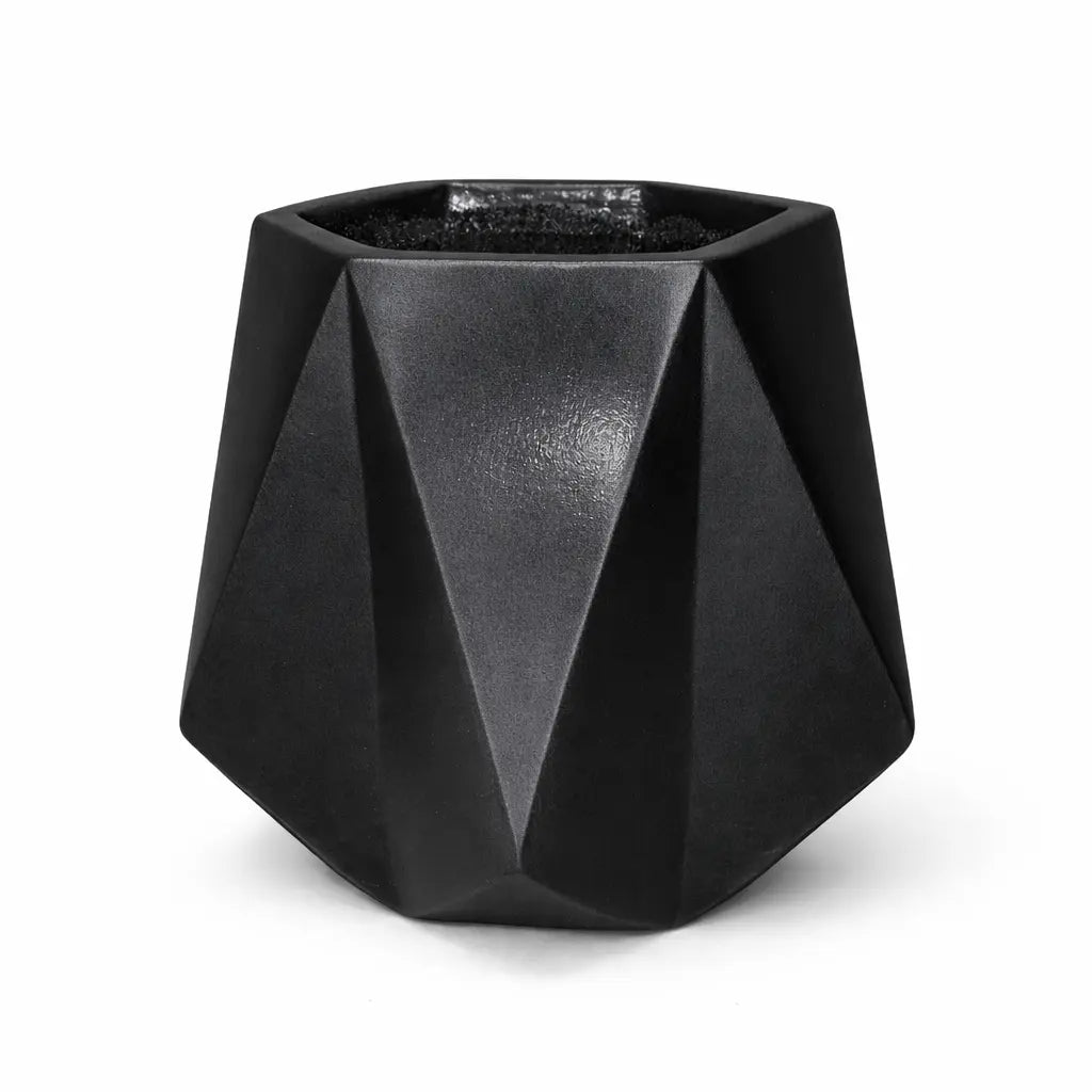 Diamond Planter with Banana Plant