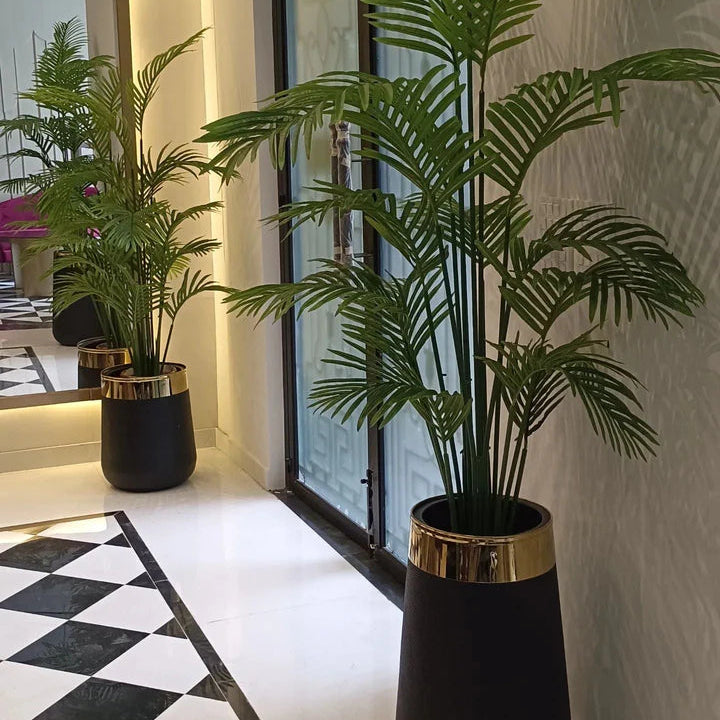 Areca Palm with Gold Strip Planter