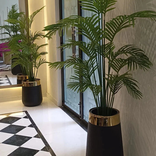 Areca Palm with Gold Strip Planter
