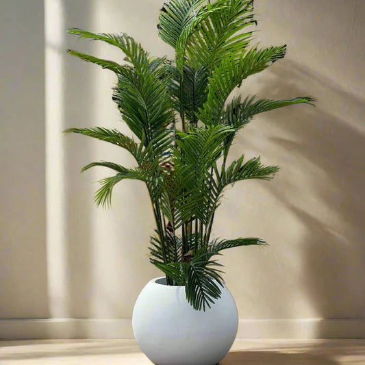 Areca Palm with sphere planter