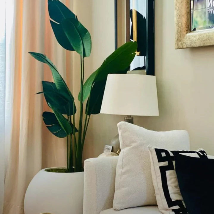 BANANA PLANT WITH SPHERE POT
