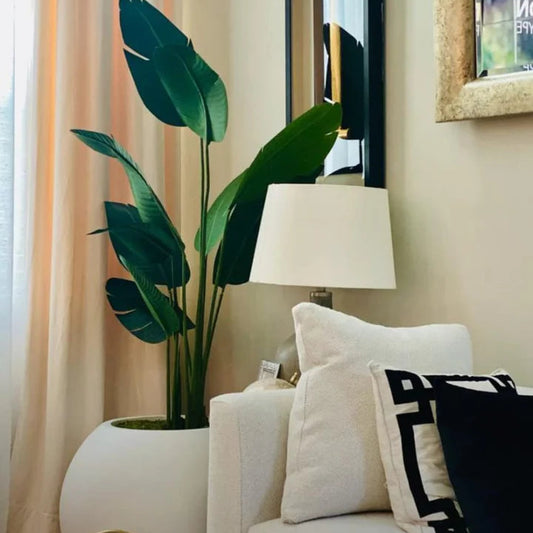BANANA PLANT WITH SPHERE POT
