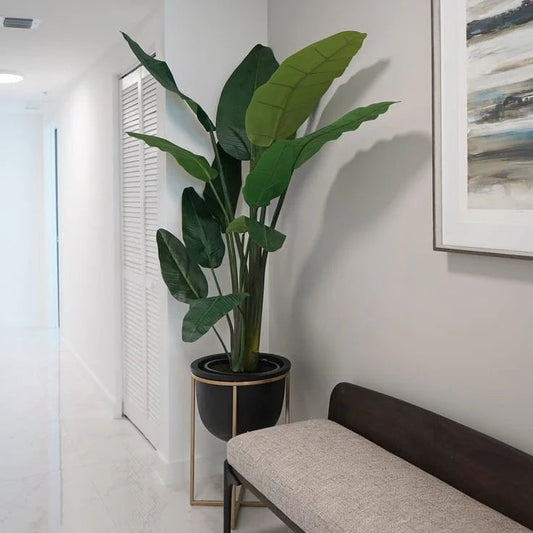 Banana Palm with Metal stand planter