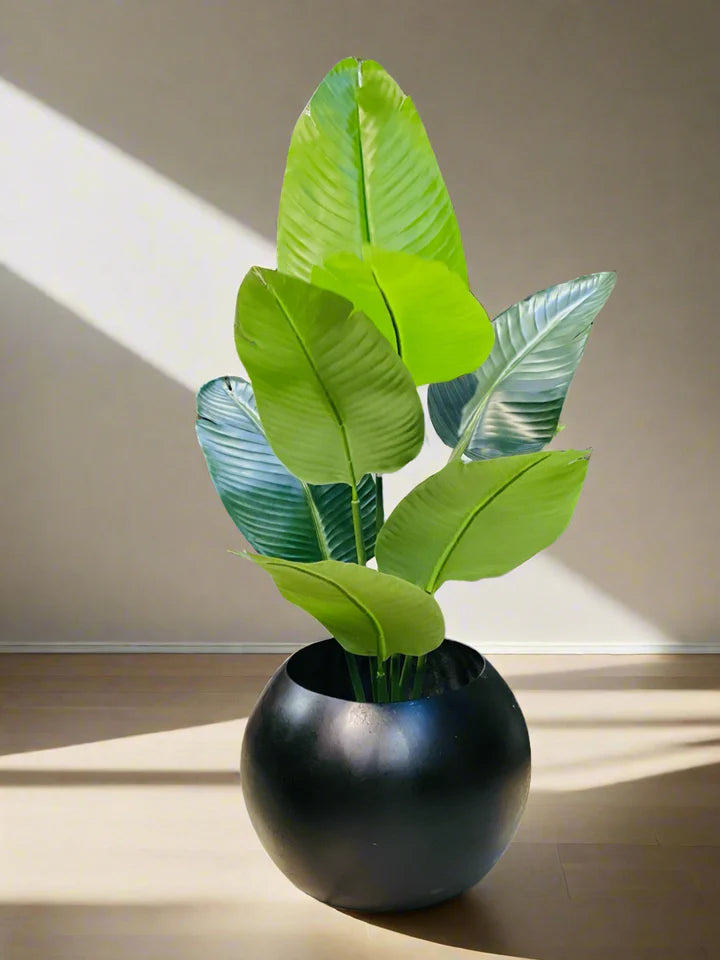 Areca Palm with sphere planter