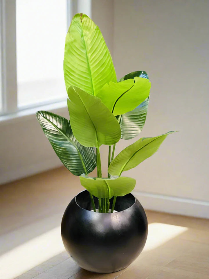 Areca Palm with sphere planter