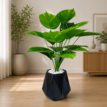 Diamond Planter with Banana Plant