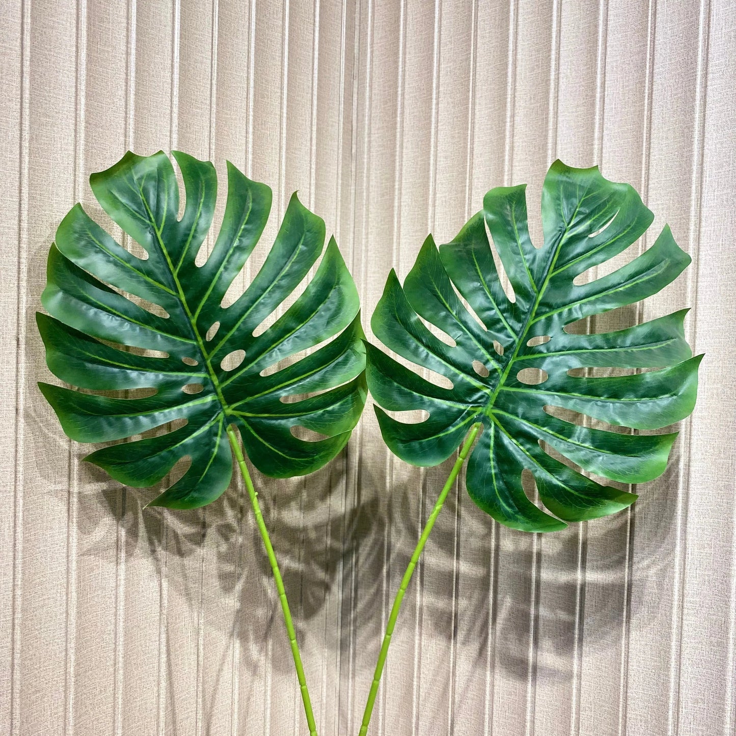 Elite monstera Leaf