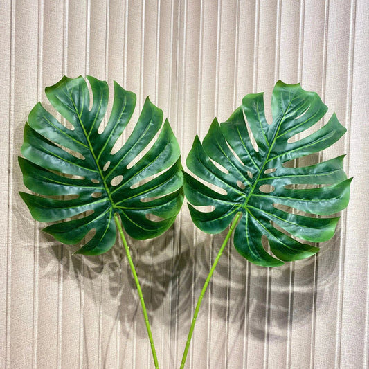 Elite monstera Leaf