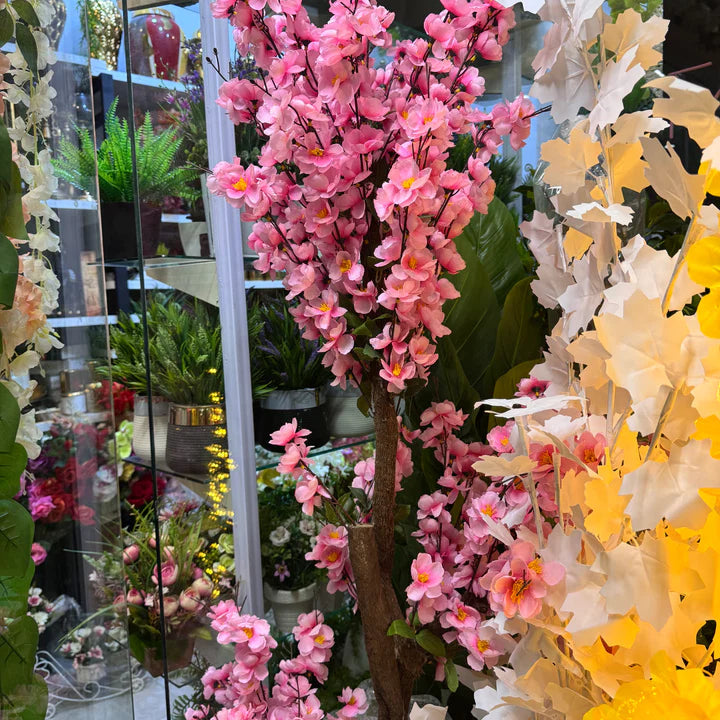 Floral plants