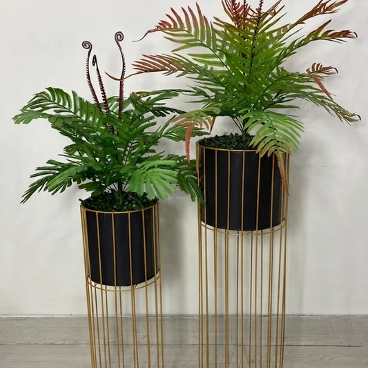Green Arrangment
