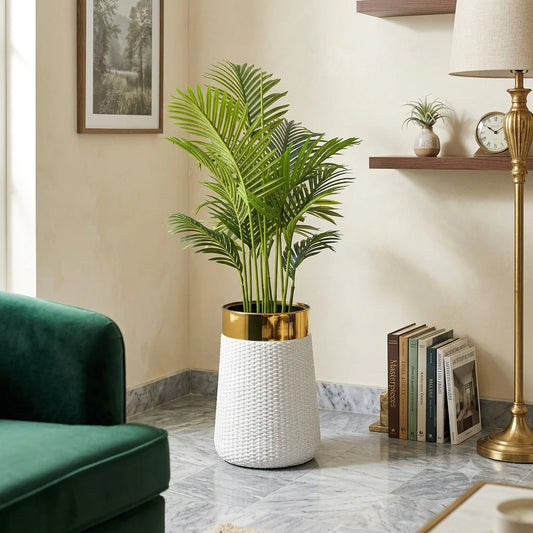 Areca Palm Tree with Premium Textured Planter