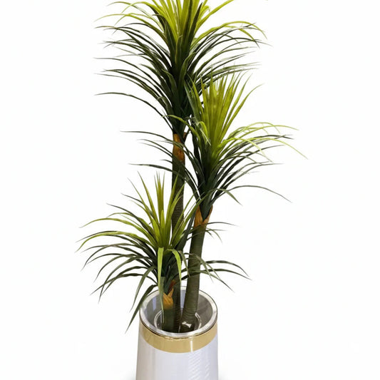 Verdant Triple-Tier Dracaena