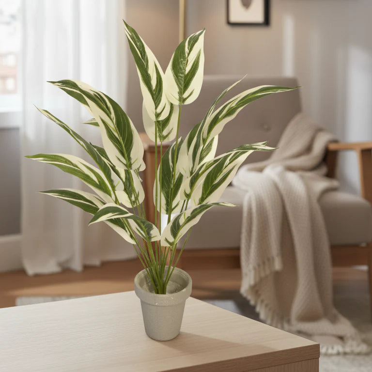 All Plants Style