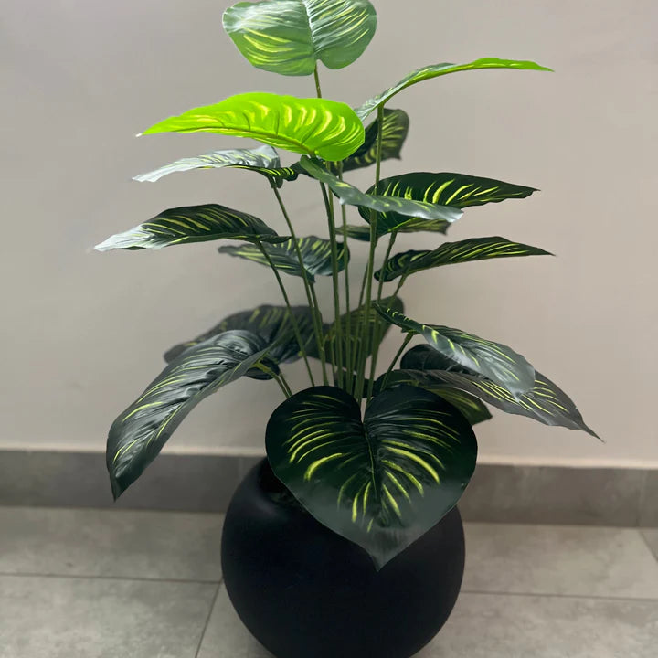 Green plants with Round planter