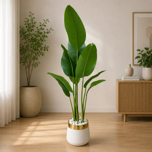 5.5 Ft Artificial Banana Palm Plant with White Pot