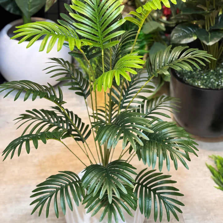 Palm Leaves With Pot