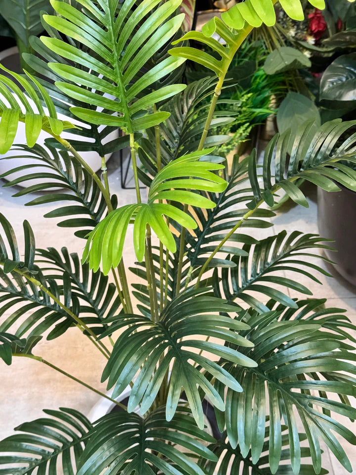 Palm Leaves With Pot