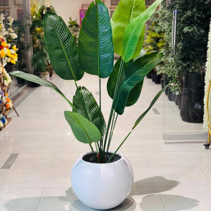 Rubber Banana With Round Planter