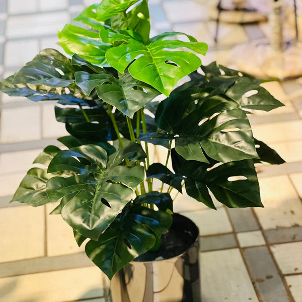 Steel Planters with plants