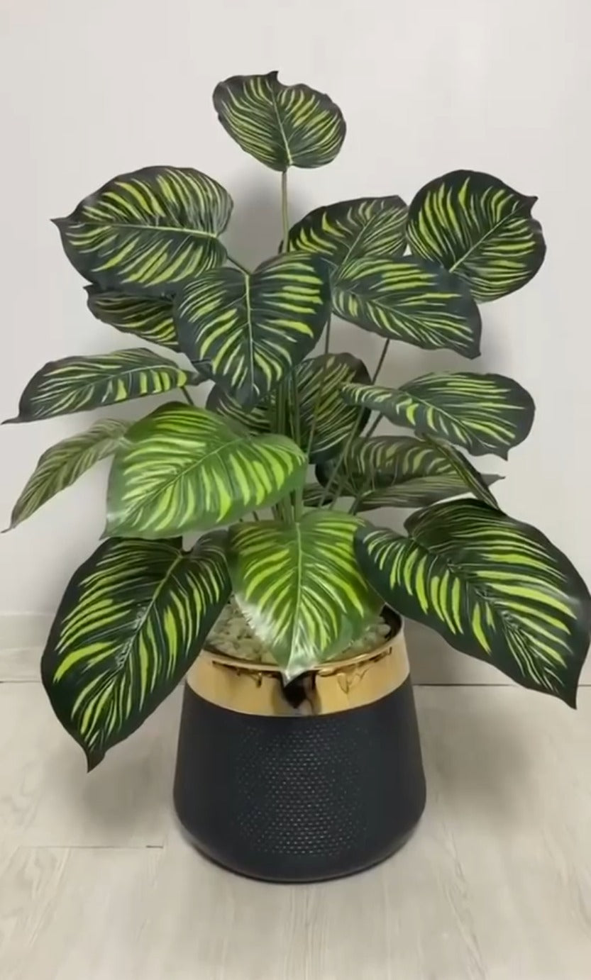 18 Leaf Zebra Planter Set 3 feet
