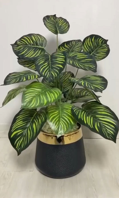 18 Leaf Zebra Planter Set 3 feet