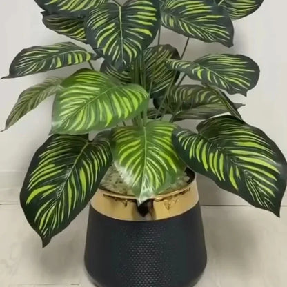 18 Leaf Zebra Planter Set 3 feet