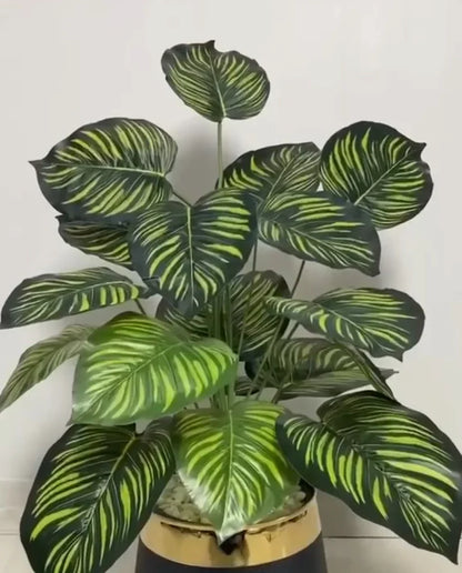 18 Leaf Zebra Planter Set 3 feet