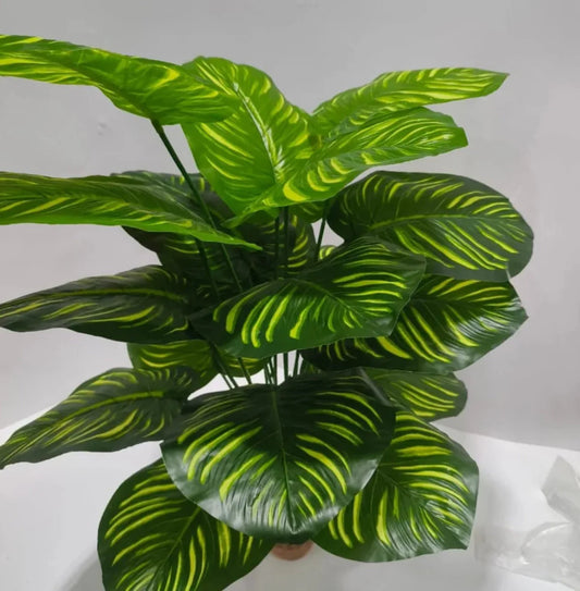 All Plants Style