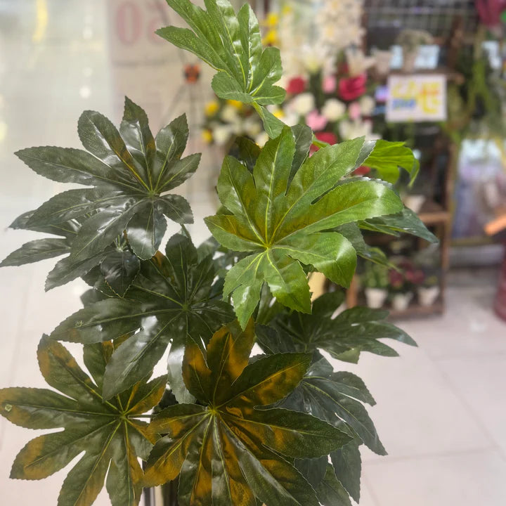 Century stand with plants