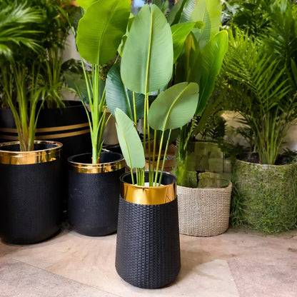 Banana Plant with 8 Leaves in Non Breakable