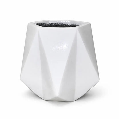 Diamond Planter with Money Plant