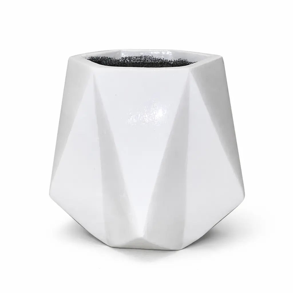 Diamond Planter with Banana Plant