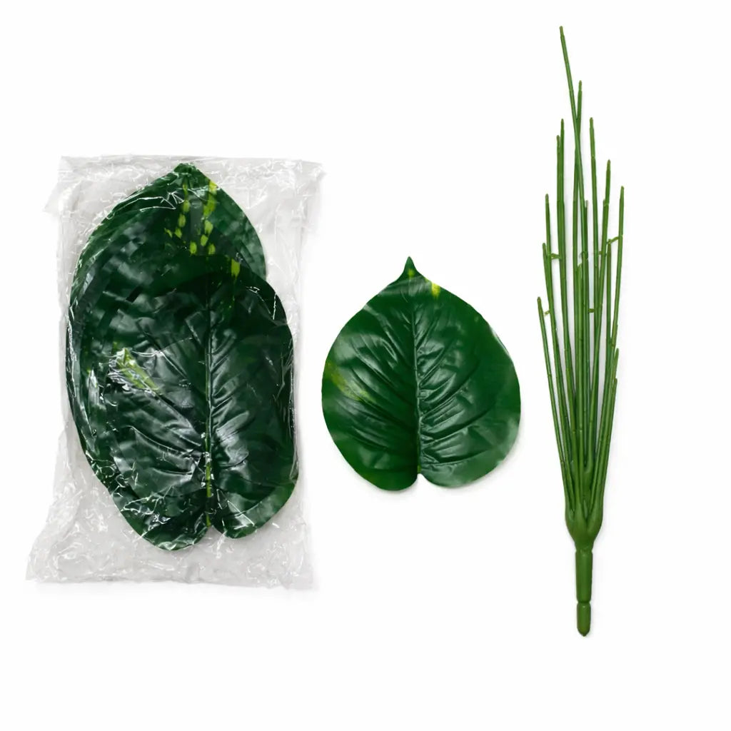 All Plants Style
