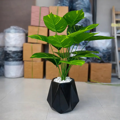 Diamond Planter with Banana Plant